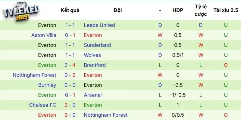 Kết quả những lần gần nhất Everton ra sân