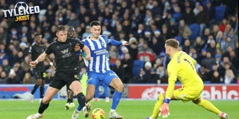 Cập nhật phong độ Nottingham vs Fulham 